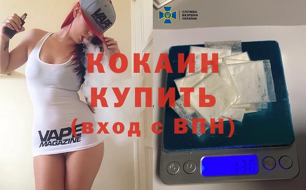 молекула духа Бородино