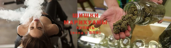 молекула духа Бородино